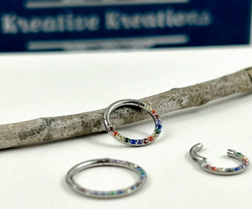 Implant Grade Segment Ring - G23 Titanium Nose Ring